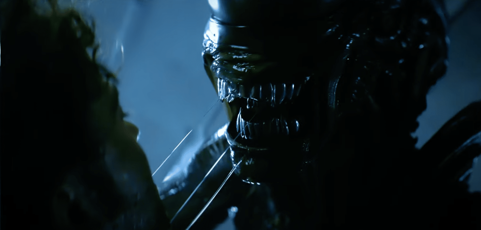 這是我們第一次看一個外星人：地球Xenomorph